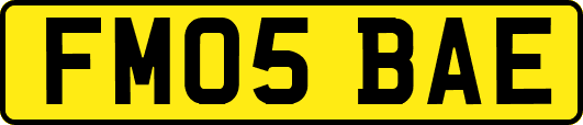 FM05BAE