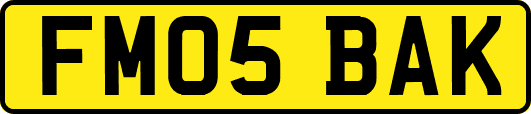 FM05BAK