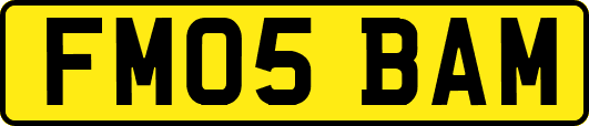 FM05BAM