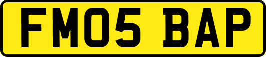FM05BAP