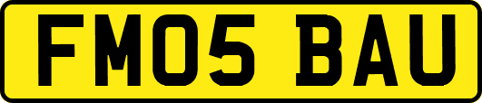 FM05BAU