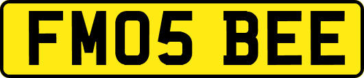 FM05BEE