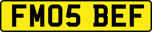FM05BEF