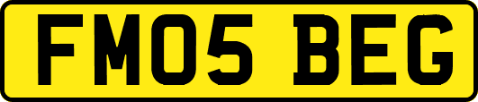 FM05BEG