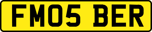 FM05BER