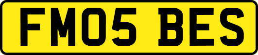 FM05BES