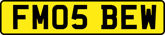 FM05BEW
