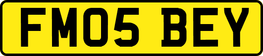 FM05BEY