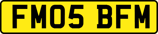 FM05BFM