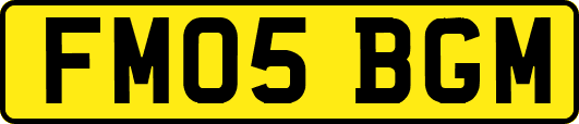 FM05BGM