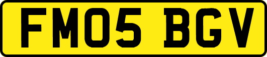 FM05BGV