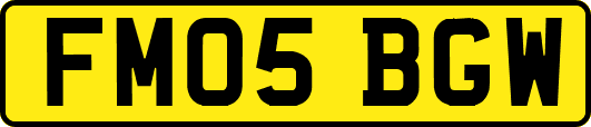 FM05BGW