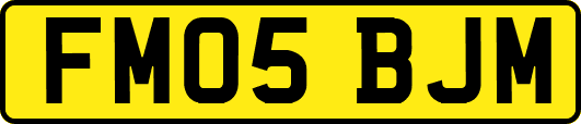 FM05BJM