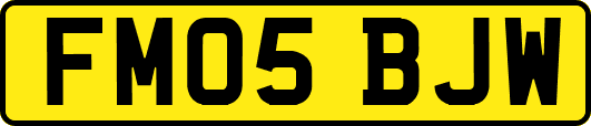 FM05BJW