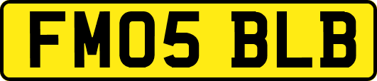 FM05BLB