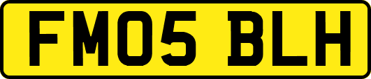 FM05BLH
