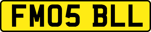FM05BLL