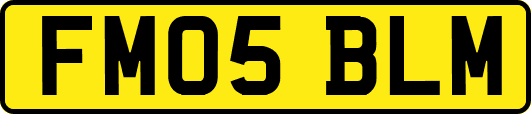 FM05BLM