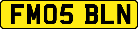 FM05BLN