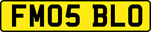 FM05BLO