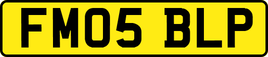 FM05BLP