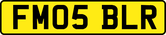 FM05BLR
