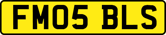FM05BLS