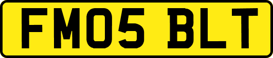 FM05BLT