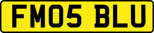 FM05BLU