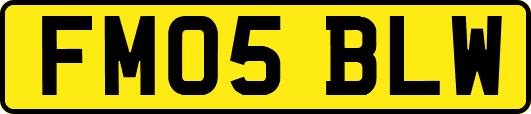 FM05BLW