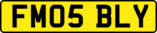 FM05BLY