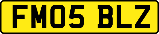 FM05BLZ