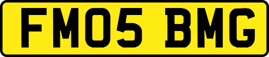 FM05BMG