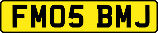 FM05BMJ
