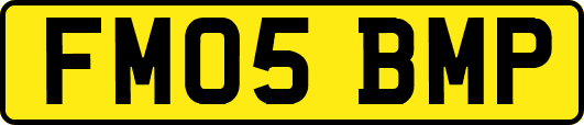 FM05BMP