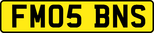 FM05BNS