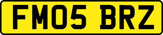 FM05BRZ
