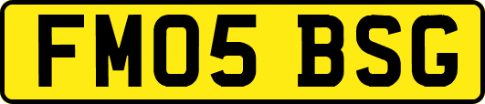 FM05BSG