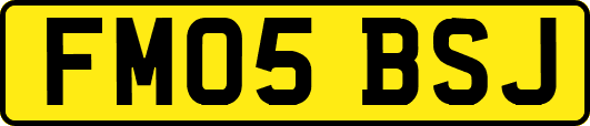 FM05BSJ