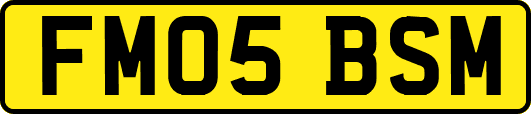 FM05BSM