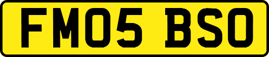 FM05BSO