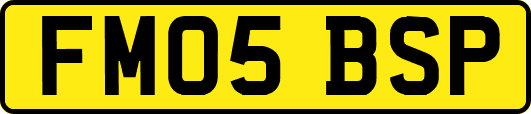 FM05BSP