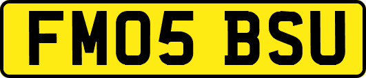 FM05BSU
