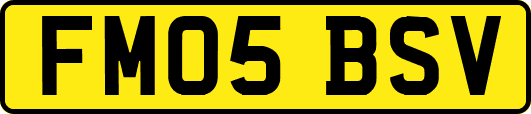 FM05BSV