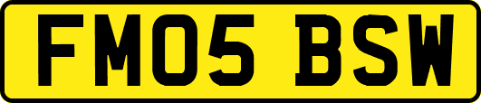FM05BSW