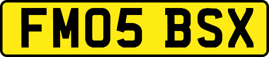 FM05BSX