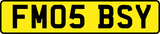 FM05BSY