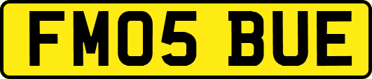 FM05BUE
