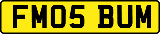 FM05BUM
