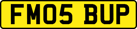 FM05BUP